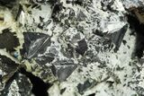 Metallic Bournonite Crystals with Quartz and Siderite - Bolivia #248557-2